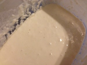 Levain is fed and starting to bubble