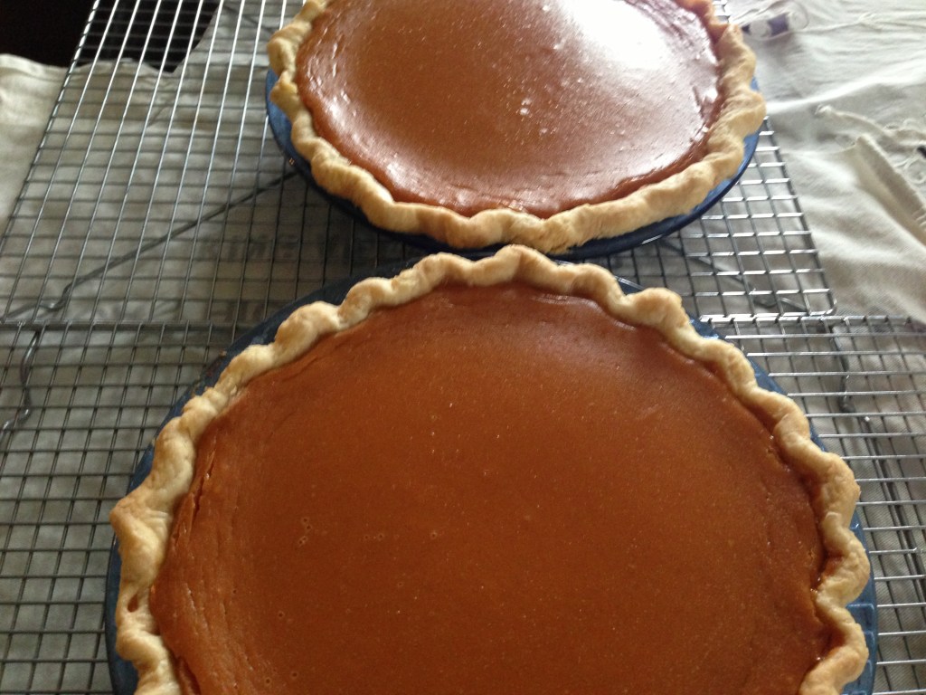 Pumpkin Pie