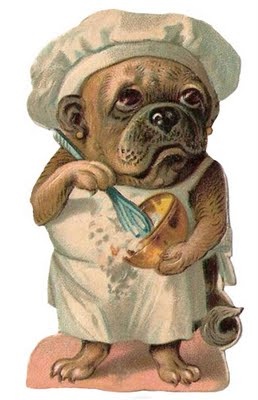 A pug in the kitchen via pinterest