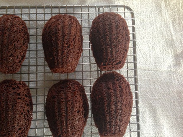 Madeleines