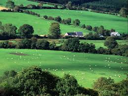 Irish Countryside