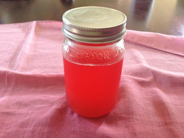 Rhubarb Simple Syrup
