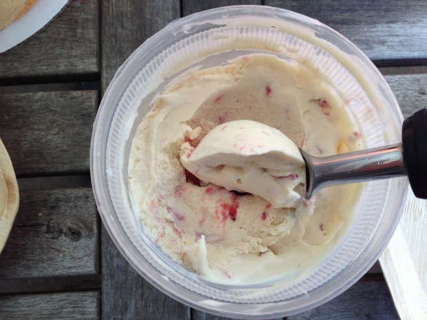 Strawberry Rhubarb Ice Cream