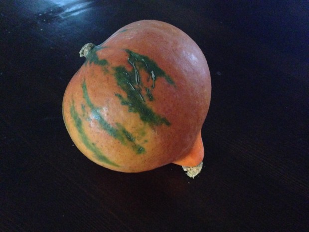 Red Kuri Squash