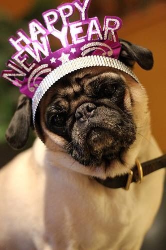 Taken from Pinterest