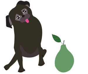 Logo white background