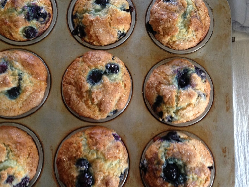 Blueberry Muffins