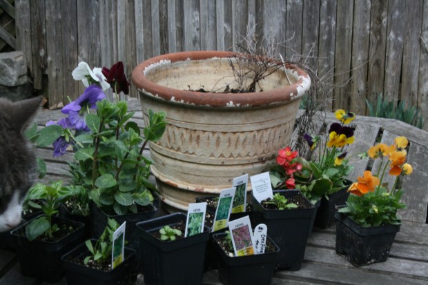 Farmers market finds