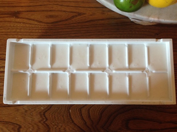 Pour into ice cube tray, makes exactly 16 cubes