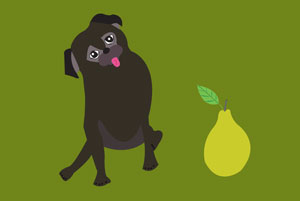 Business Card Nando with color