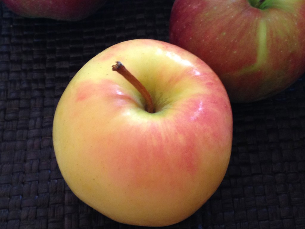 First apples of the season