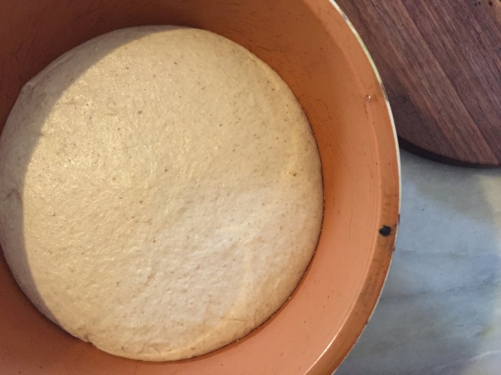 Dough after an overnight sit in the fridge