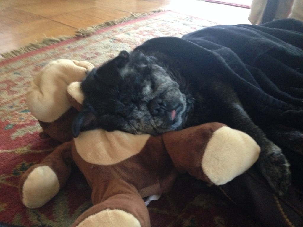 Nando and his monkey