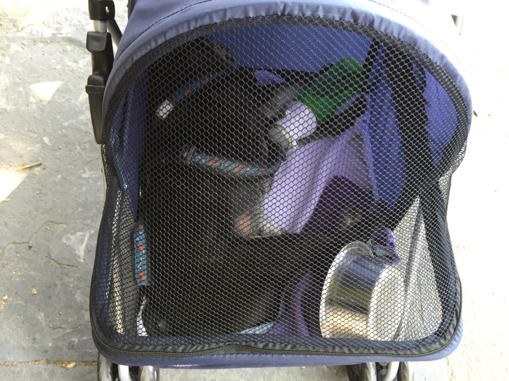 Nando in the stroller