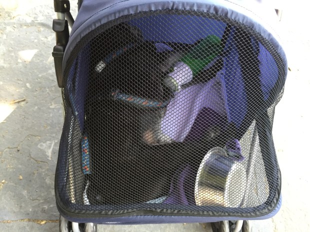 Nando in the stroller
