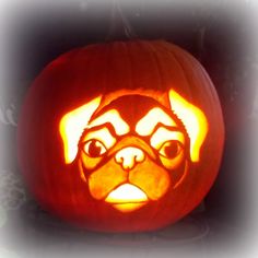 dc88e20f1d0c04890ff8f88e071729dd