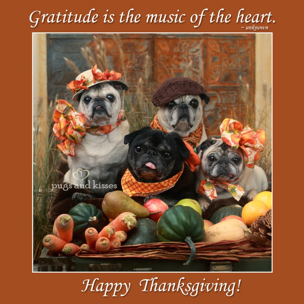 Whole-Gang-Thanksgiving-2012-Gratitiude-saying-P+K1-1024x1024