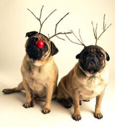 Borrowed from Justine Eclectic Odds N Sods