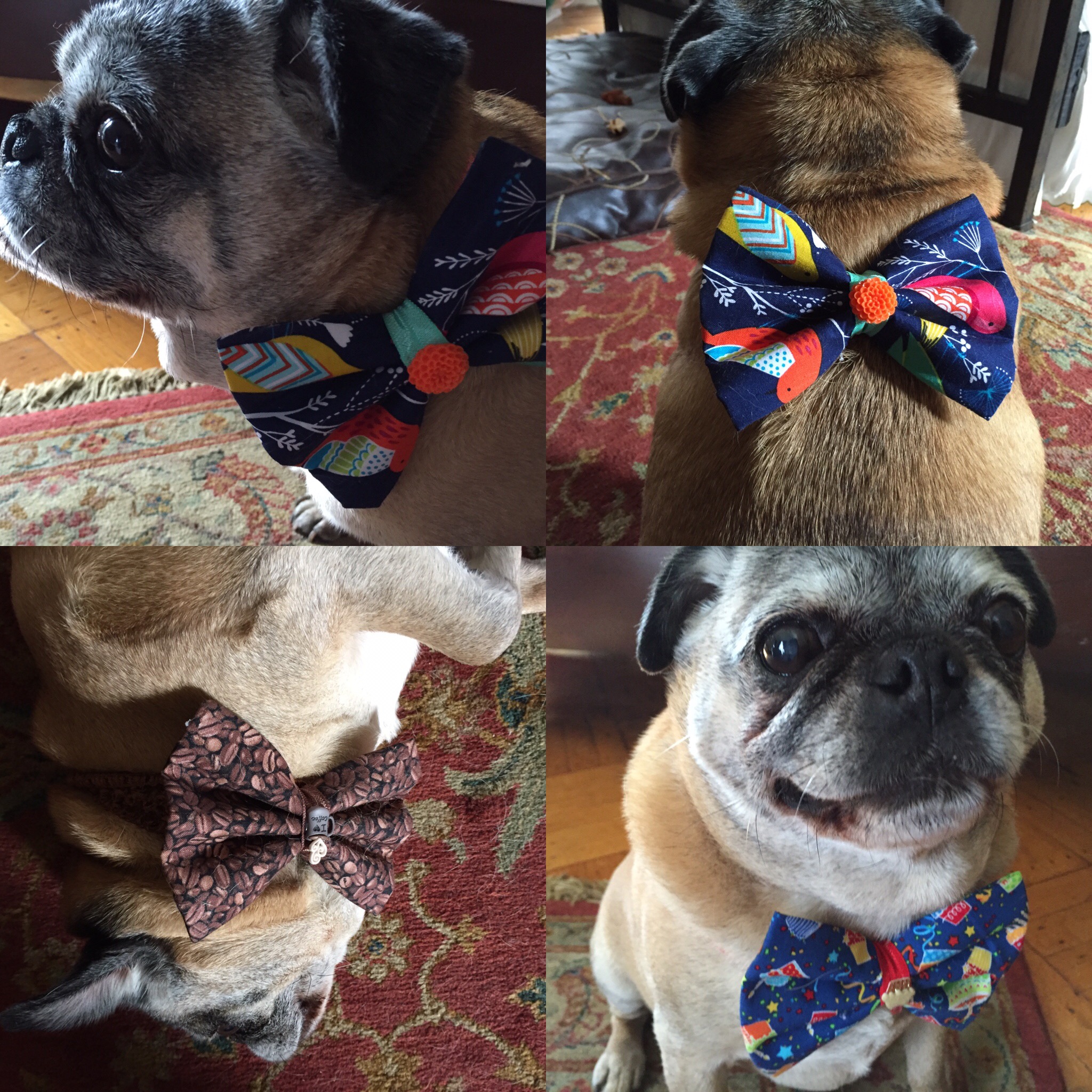 893B11E8-F55E-430A-82AE-5AADE5455C11