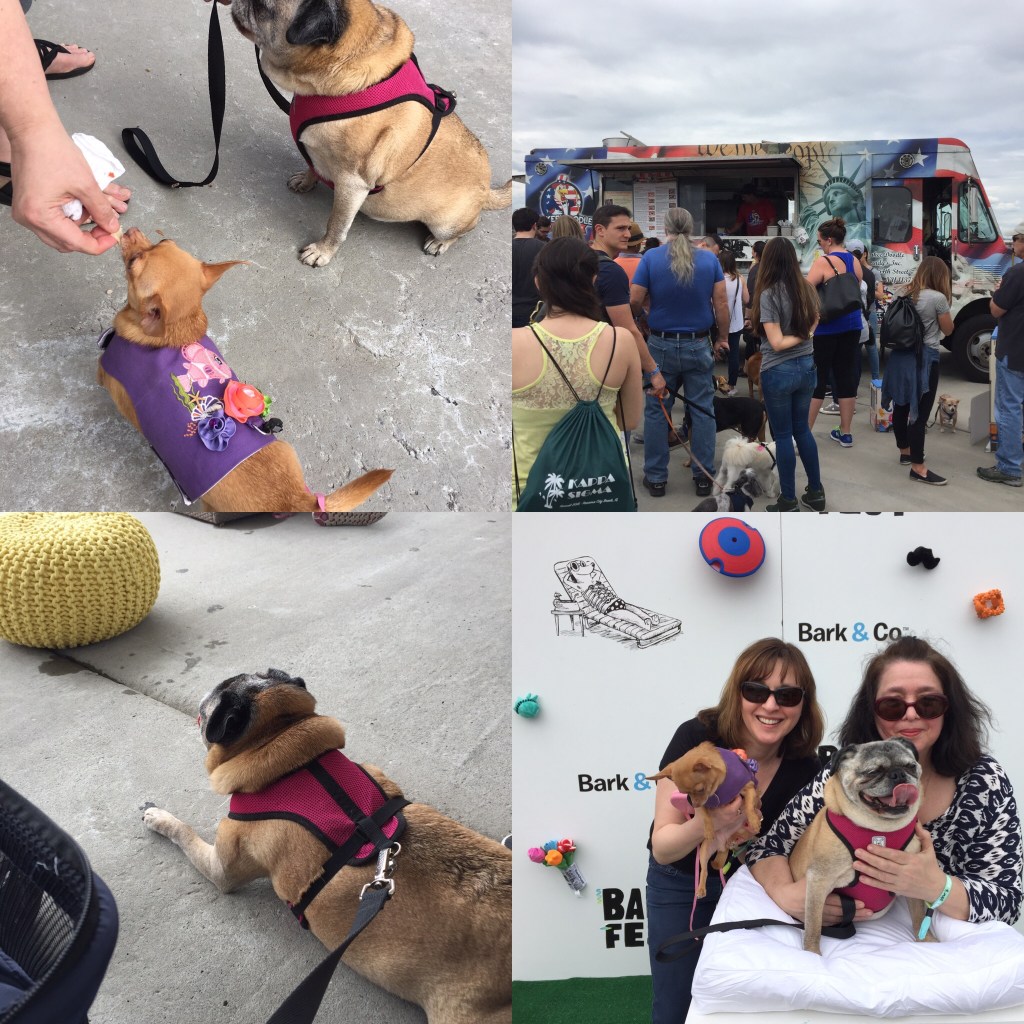 C99BECAA-BB7E-4707-9E54-E57DBE3120F3