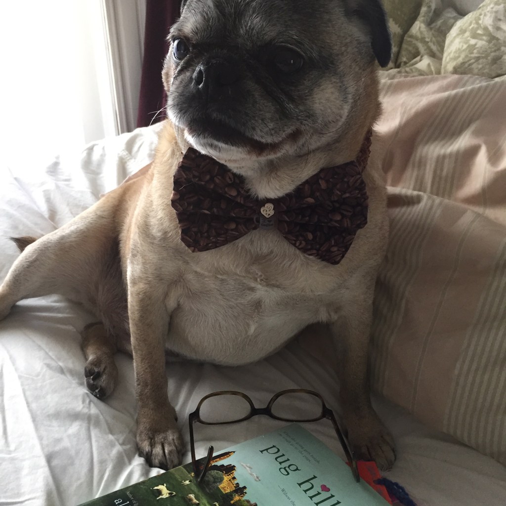 Percy has taken up reading