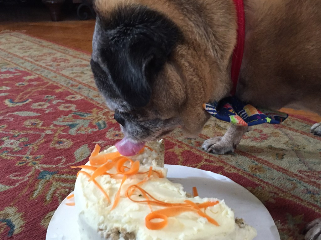 Percy with his birthday cake