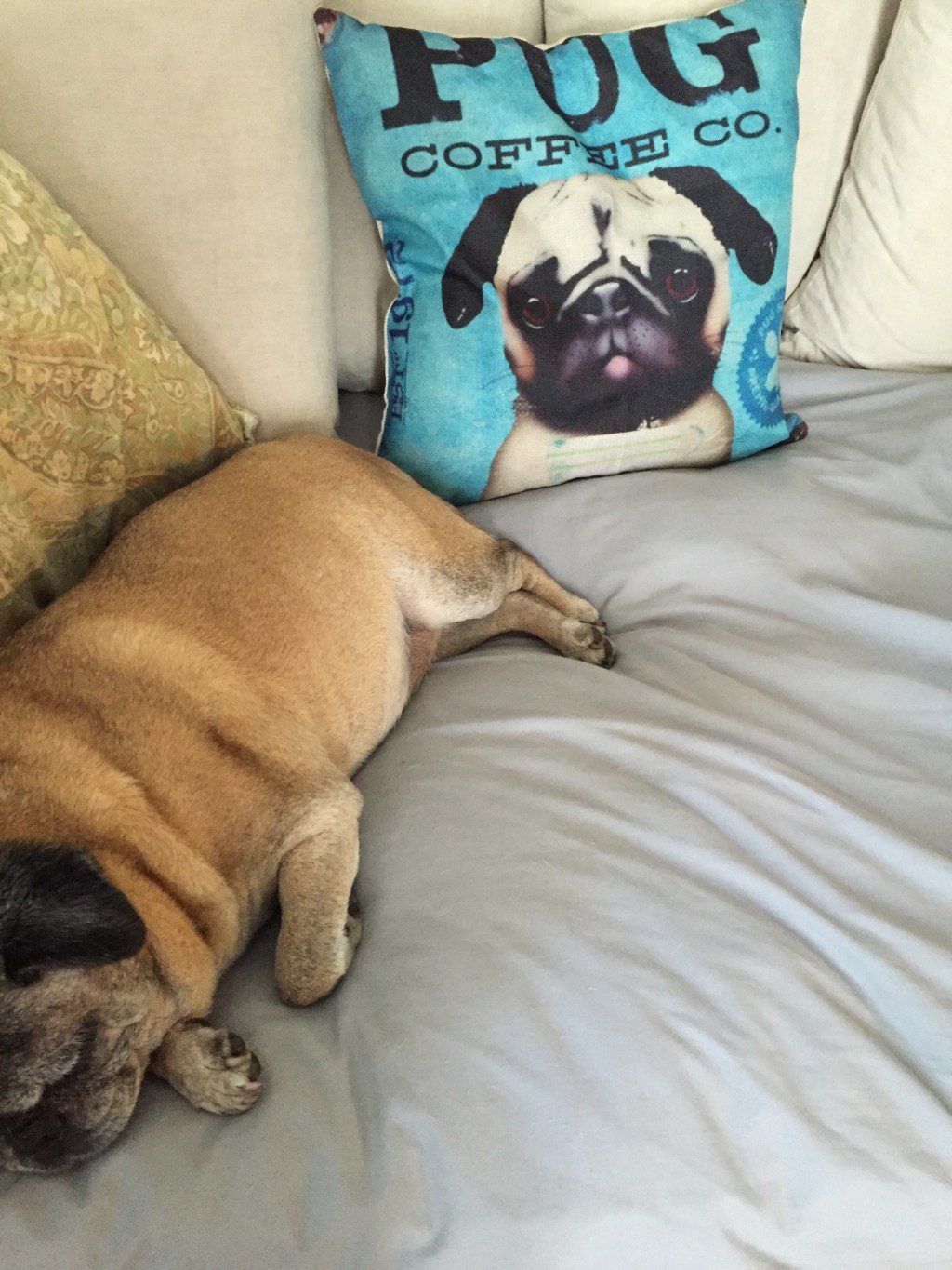 pug pillow