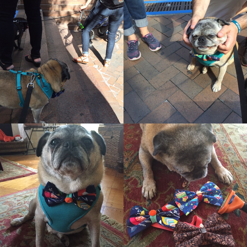 6b8789cc-0d71-439f-b662-478ec910a6a4