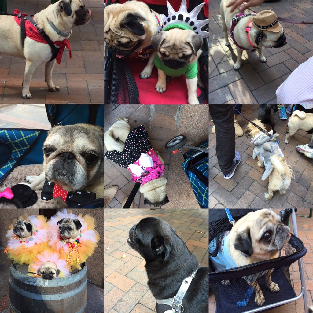 db8b980f-8c24-45fc-bd25-b50653009b44