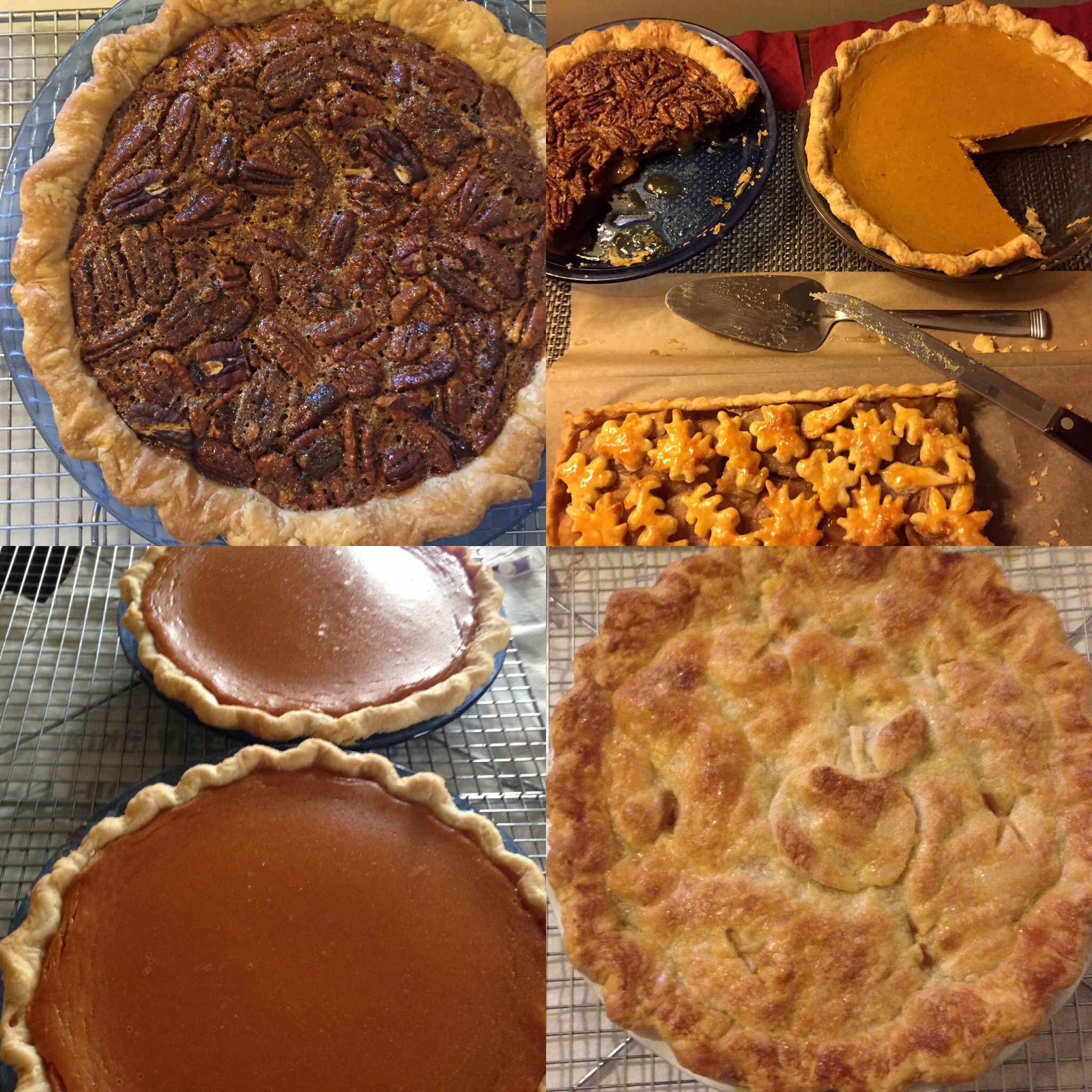 85065988-56be-410c-a593-fa5ff63d647a